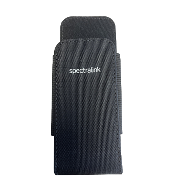 DECT Holster