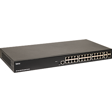 Switch 19"- und Tischm. m. Manag.