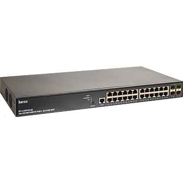 Switch 19"- und Tischm. m. Manag.